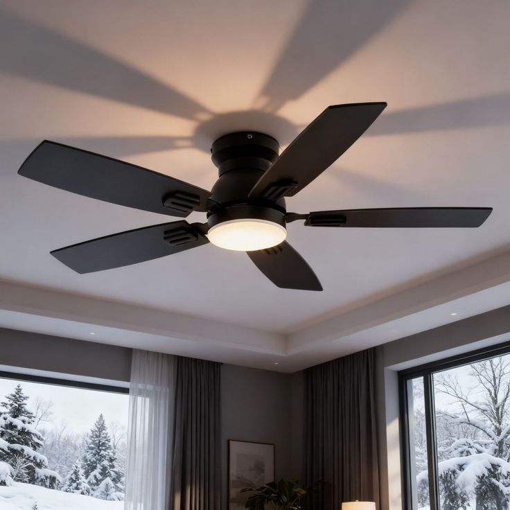 Luxury fan
